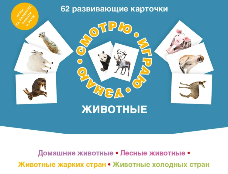 62 развивающие карточки. Животные