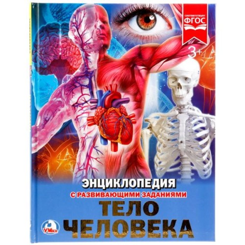 ТЕЛО ЧЕЛОВЕКА (ЭНЦИКЛОПЕДИЯ А4). ТВЕРДЫЙ ПЕРЕПЛЕТ. БУМАГА МЕЛ, 48 СТР.,  в кор.15шт
