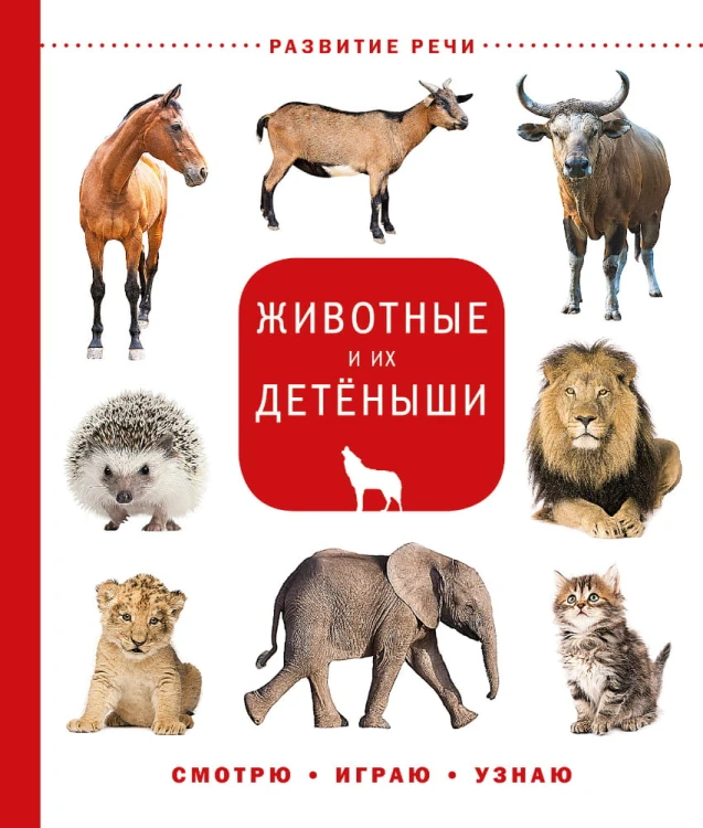 Животные и их детёныши