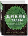 Дикие травы: как найти целебные продукты и создать собственные натуральные лекарства