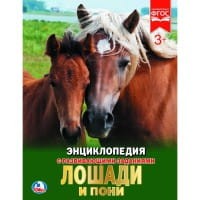 ЛОШАДИ И ПОНИ (ЭНЦИКЛОПЕДИЯ А4). ТВЕРДЫЙ ПЕРЕПЛЕТ. БУМАГА МЕЛ, 48 СТР.,  в кор.15шт