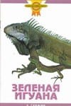 Зеленая игуана