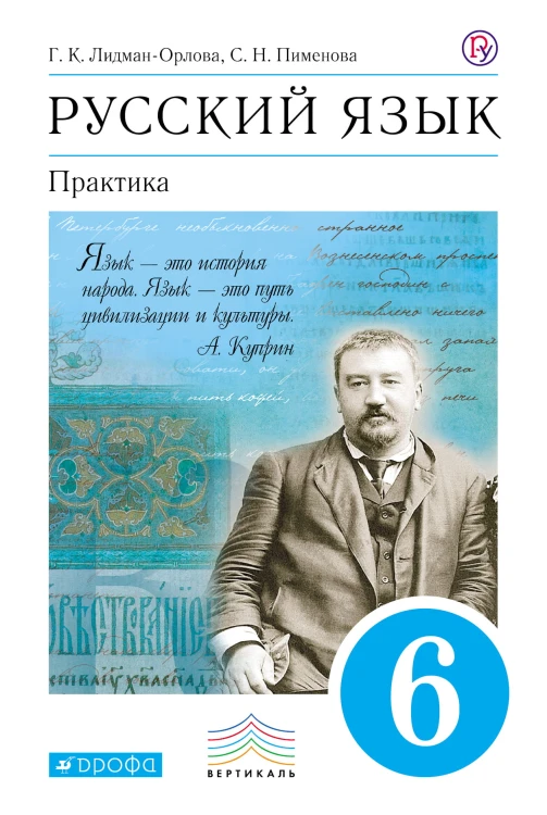 Русский язык. Практика. 6 класс. Учебник