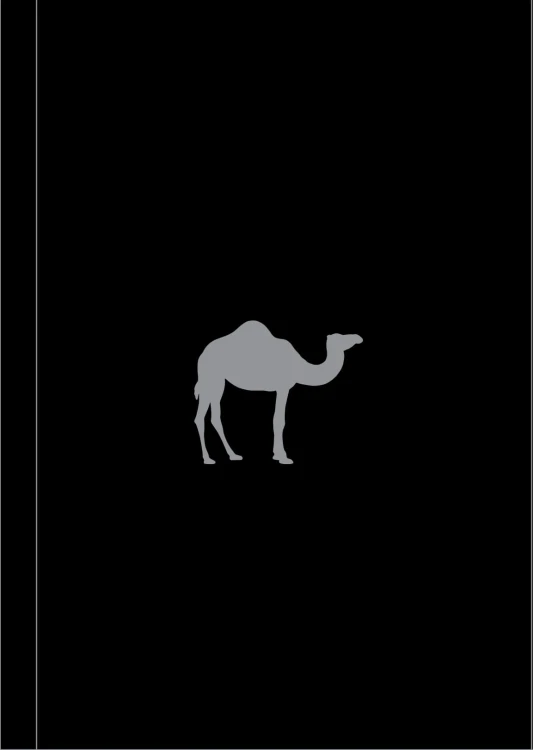Boy's Toys (Camel Note)