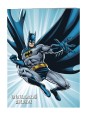 DC. Читательский дневник. Бэтмен