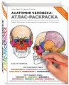 Анатомия человека: атлас-раскраска
