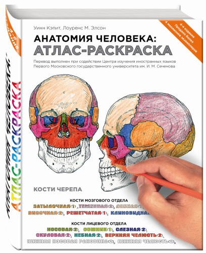 Анатомия человека: атлас-раскраска