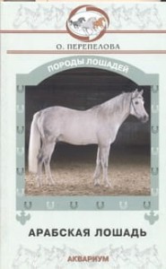 Арабская лошадь