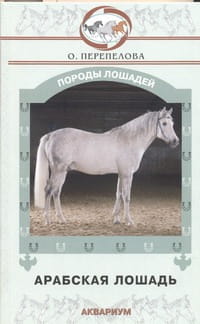 Арабская лошадь