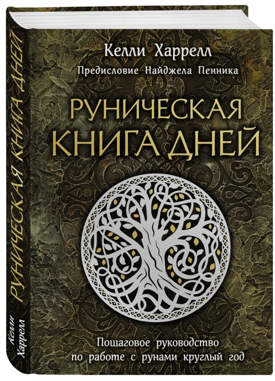 Руническая книга дней