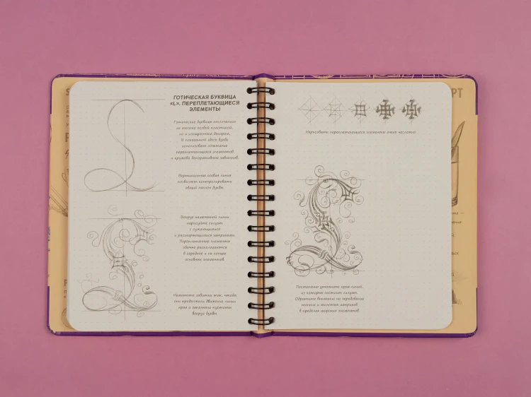 Sketchbook с уроками внутри. Рисуем красивые шрифты (искусство леттеринга)