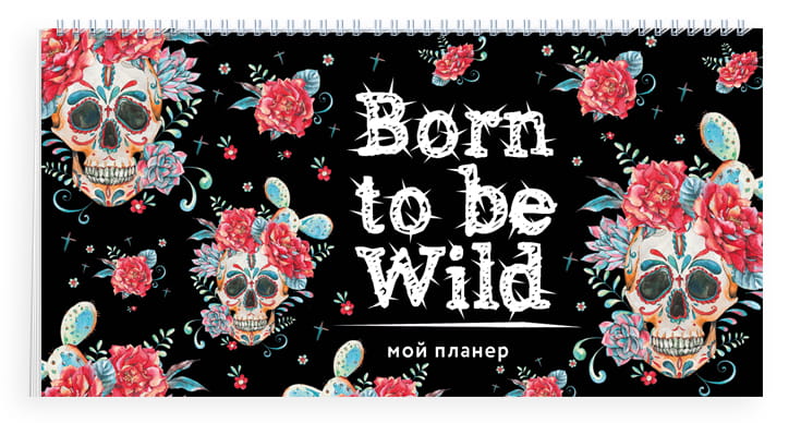 Мой планер. Кактус в Мексике: Born to be Wild (мини на навивке)