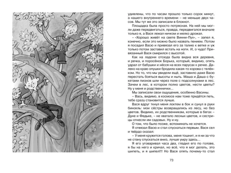Дневник Пети Васина и Васи Петина