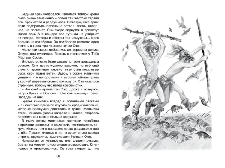 Приключения доисторического мальчика (нов.обл.)