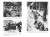 Арденнская операция 1944: Последняя авантюра Гитлера