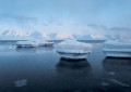 Великие тайны океанов. Средиземное море. Полярные моря (с илл.)