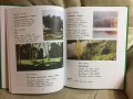 2017-12-26 19.01.51.jpg