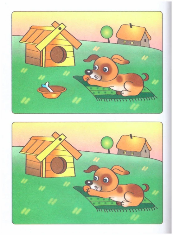 Развиваем_внимание_2.jpeg