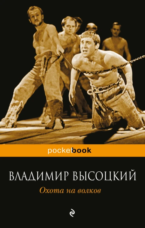 высоцкий.jpg