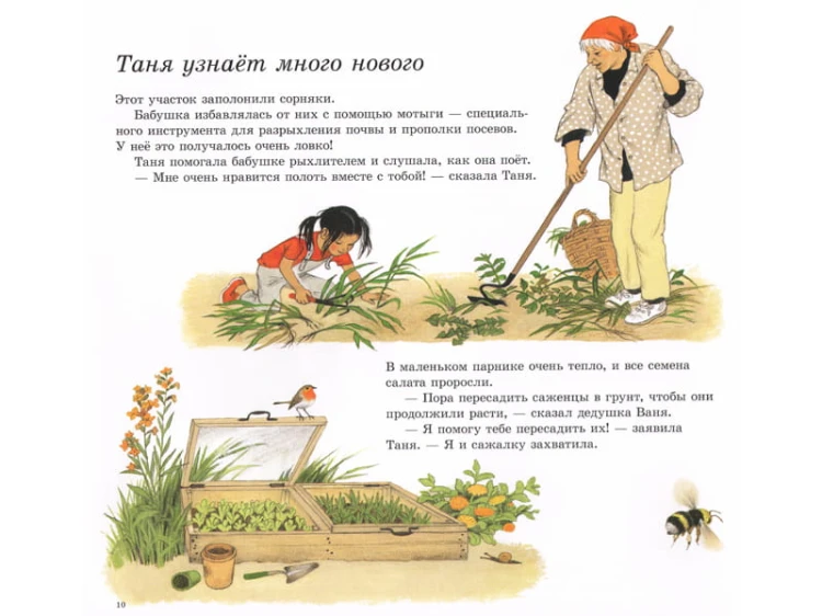 kak-rastut-ovosshi-myuller-gerda3.jpg